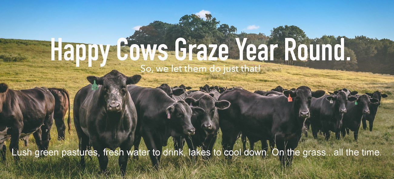 JT2 ranch-raised, all-natural cows on green grass.